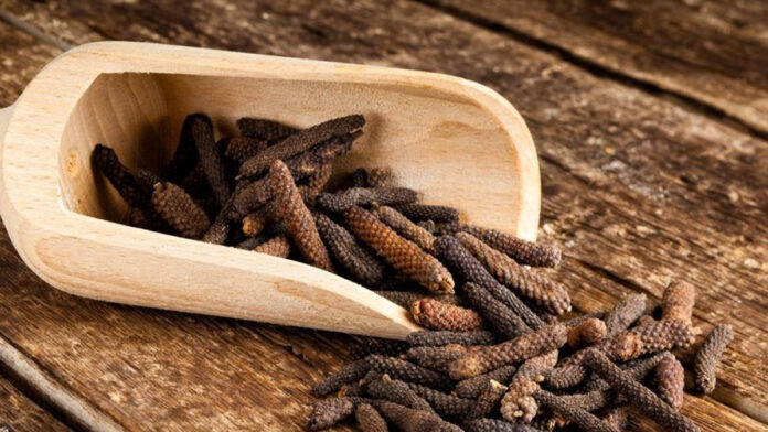 long pepper benefits in tamil